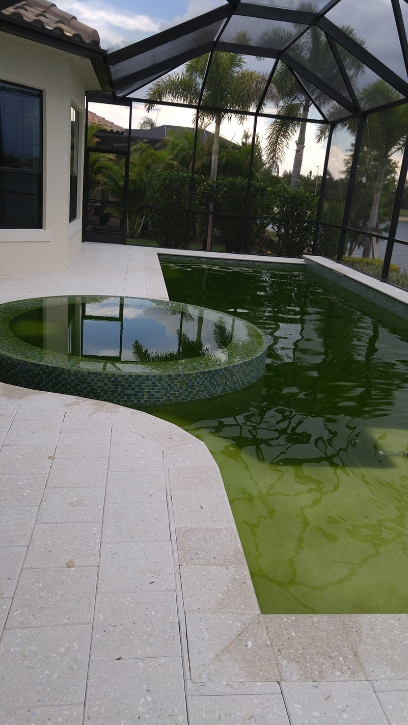 A before image of a pool that we had to clean